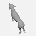 Mô hình chú chó Great Dane 3D chi tiết cực đẹp để in 3D - Thumbnail 5