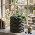 Chậu hoa - Flower pot 008 (Vase mode) | Bình trụ họa tiết chevron zigzag - Thumbnail 1