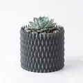 Pot de fleur - Flower pot 007 (Chậu hoa gai tam giác hình học) - Thumbnail 1