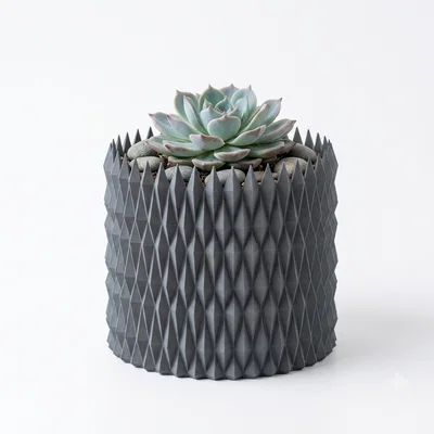 Pot de fleur - Flower pot 007 (Chậu hoa gai tam giác hình học)