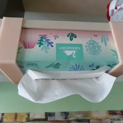 Giá treo hộp khăn giấy (Tissue holder) cho giường tầng