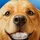 victorgonzale_529707
