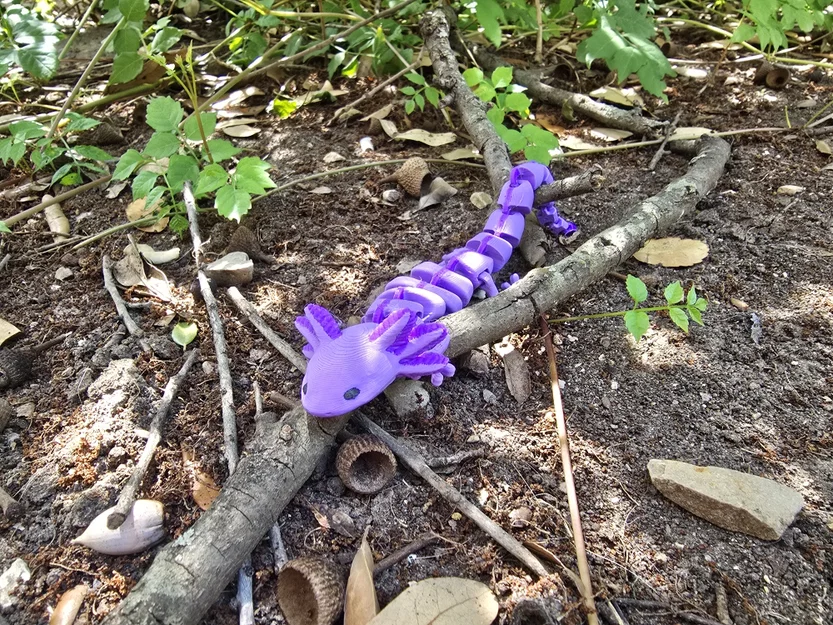 Mô hình Axolotl khớp nối linh hoạt: Hướng dẫn in 3D sinh động - Image 1