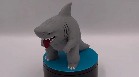 Chubby Shark - In Nhiều Màu (Multicolor Print) - Image 2