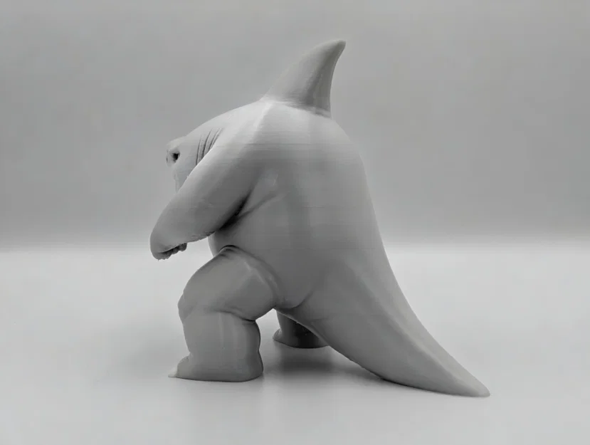 Chubby Shark - In Nhiều Màu (Multicolor Print) - Image 4