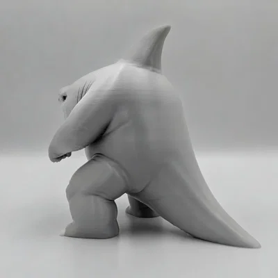 Chubby Shark - In Nhiều Màu (Multicolor Print)
