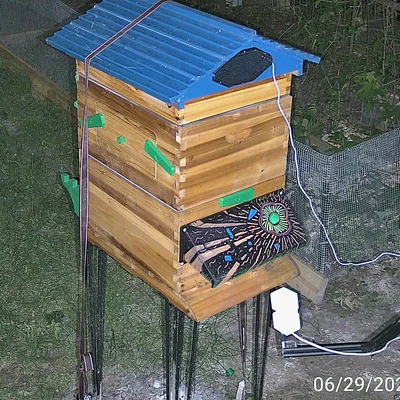 Bee Escape: Phụ kiện cửa thoát ong tối ưu cho 3D printing