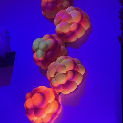 Janoleafs LED Light Panels-Xenoberries (Panel tán sáng LED DIY treo tường)