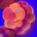 Janoleafs LED Light Panels-Xenoberries (Panel tán sáng LED DIY treo tường) - Thumbnail 4