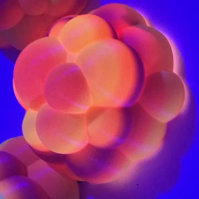 Janoleafs LED Light Panels-Xenoberries (Panel tán sáng LED DIY treo tường)