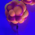 Janoleafs LED Light Panels-Xenoberries (Panel tán sáng LED DIY treo tường) - Thumbnail 5