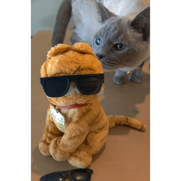 Kính mát đồ chơi (Toy Sunglasses) - Image 1