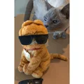 Kính mát đồ chơi (Toy Sunglasses) - Thumbnail 1