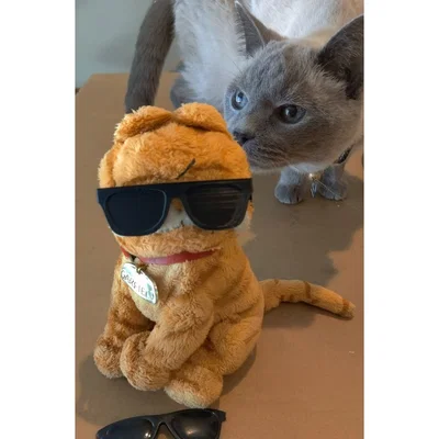 Kính mát đồ chơi (Toy Sunglasses)