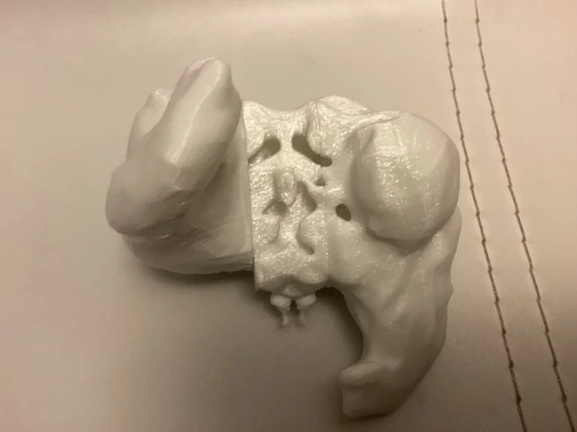 Arm13 v2 - Image 2