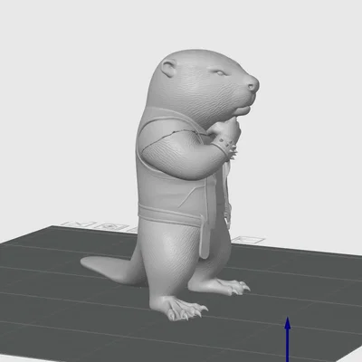 Beaver/Bieber #9 - WildRock Animals