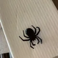 Mô hình phụ kiện trang trí hình nhện cực chất cho dép Crocs - Thumbnail 2