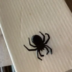 Mô hình phụ kiện trang trí hình nhện cực chất cho dép Crocs