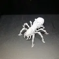 Nhện Cơ Khí Fantasy (Mechanical Fantasy Spider) - Thumbnail 5