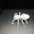 Nhện Cơ Khí Fantasy (Mechanical Fantasy Spider) - Thumbnail 6