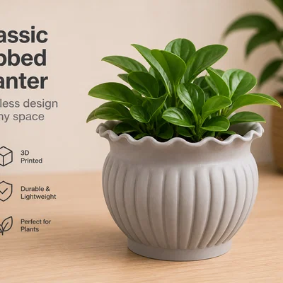 Chậu gân cổ điển (Classic ribbed plabter)