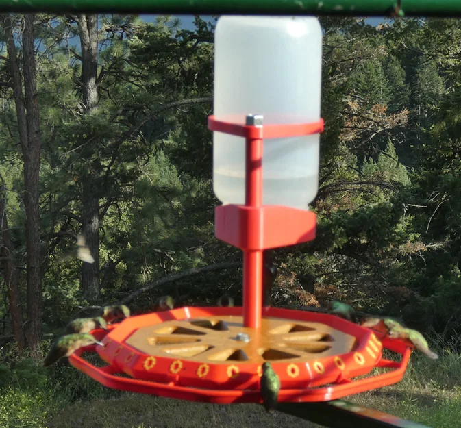 Máng ăn chim ruồi jumbo, liquid ring một mảnh, 30 lỗ - Image 3