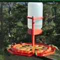 Máng ăn chim ruồi jumbo, liquid ring một mảnh, 30 lỗ - Thumbnail 3