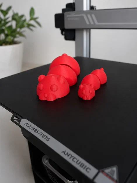Mô hình gấu linh hoạt (Flexible Bear) 3D đáng yêu cho người mới - Image 1