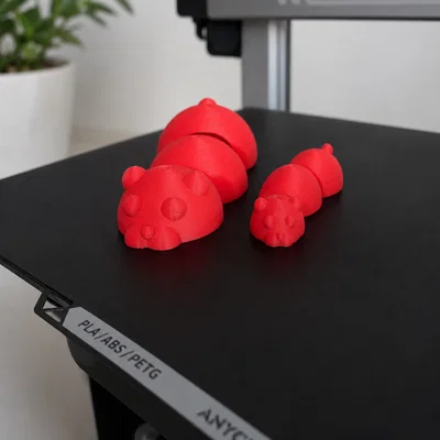 Mô hình gấu linh hoạt (Flexible Bear) 3D đáng yêu cho người mới