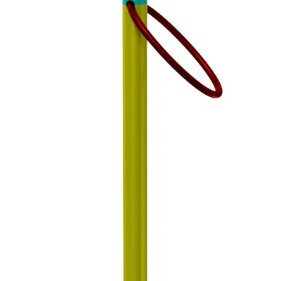 Bộ trò chơi giải đố 3D Ring on a Stick (Vòng trên que)