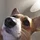 TylerAnderso_3990754