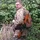 Gillie_4292185