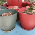 Khay hứng nước cho chậu cây (Drip Tray) - Tùy chỉnh kích thước - Thumbnail 3