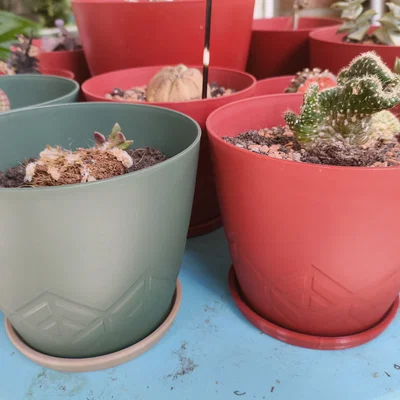 Khay hứng nước cho chậu cây (Drip Tray) - Tùy chỉnh kích thước