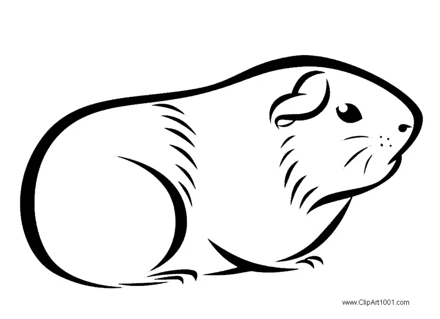 Mô hình chuột lang Flexi (Guinea Pig Flexi Toy) - Image 1