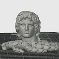 Mô hình 3D Octopus The Great độc đáo - Đầu tượng phong cách mới - Thumbnail 1