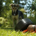 Bát Uống Nước Cho Chó Gắn Bình Nalgene 1L - Thumbnail 2