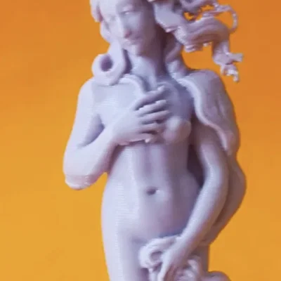 Tượng nghệ thuật The Birth of Venus