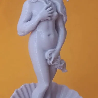 Tượng nghệ thuật The Birth of Venus
