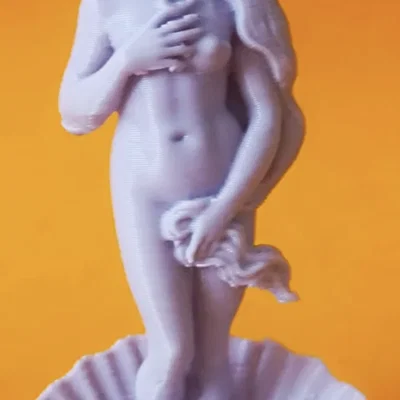 Tượng nghệ thuật The Birth of Venus