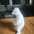 Gấu Bear/Bär 5# WildRock Animals phiên bản Mùa Hè - Thumbnail 5