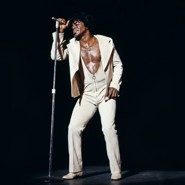 Mô hình 3D huyền thoại âm nhạc James Brown 1973 độc đáo - Image 1