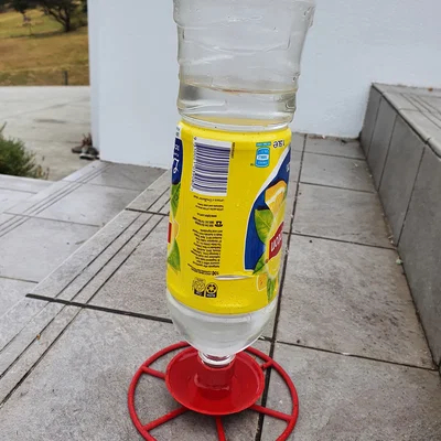 Máng uống nước cho chim (bản gia cố)