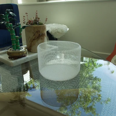 Thùng rác thiết kế dạng lưới (Mesh Styled Trashcan)