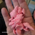 Mô hình Patrick làm phụ kiện trang trí dép Crocs in 3D cực dễ thương - Thumbnail 1