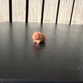 Mô hình 3D Capybara mini dễ thương để bàn - Thumbnail 2
