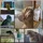 KevinK_4208966