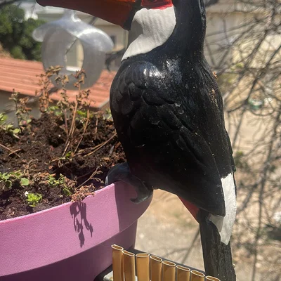 Mô hình chú chim Toucan 3D trang trí chậu cây đầy màu sắc