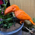 Mô hình chú chim Toucan 3D trang trí chậu cây đầy màu sắc - Thumbnail 2