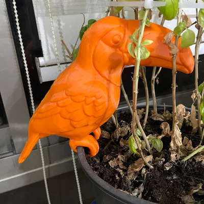 Mô hình chú chim Toucan 3D trang trí chậu cây đầy màu sắc